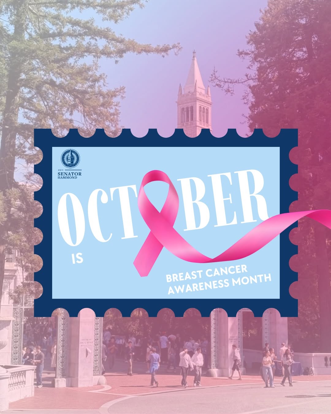 October is Breast Cancer Awareness Month. This month, we honor survivors, stand 