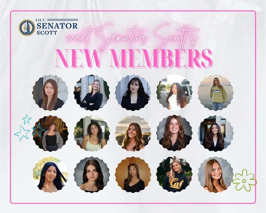 Meet the New Members!

We’re so excited to finally introduce you all to the new 