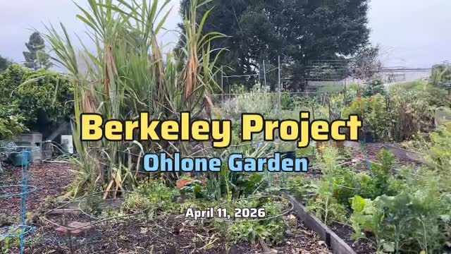 We couldn’t make it to Bieberchella, so we opted into @theberkeleyproject instea