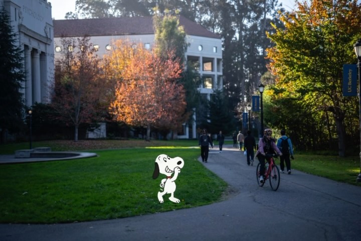 Snoopy loves fall in UC Berkeley!!🍁💙💛 #snoopy #ucberkeley #berkeley #fall