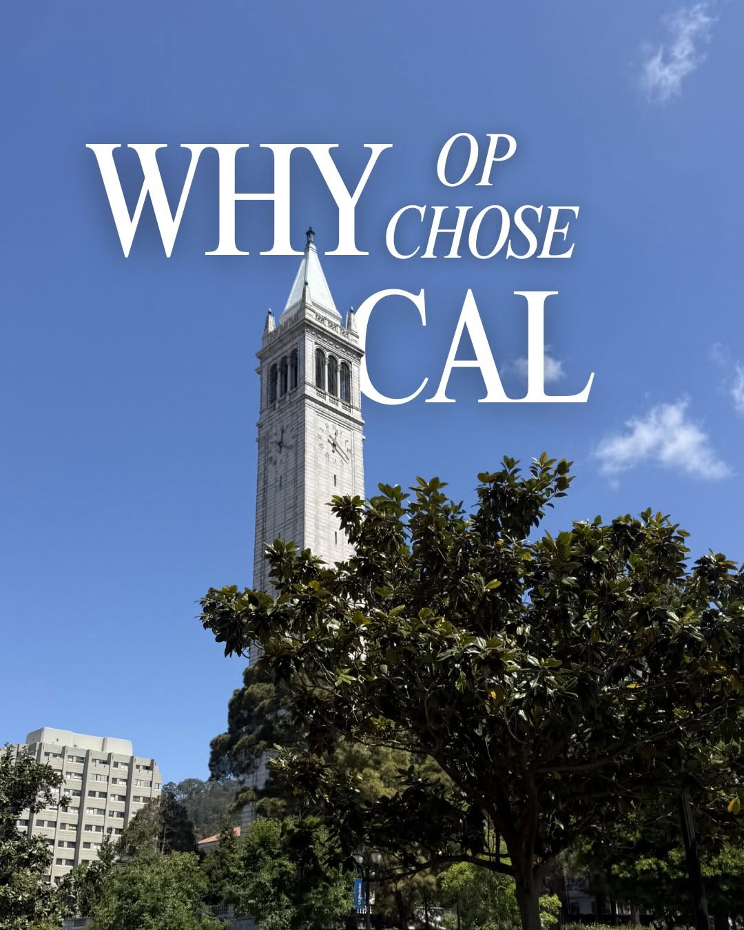 WHY CAL? 🧸

As decision day for incoming baby golden bears gets closer, the Off